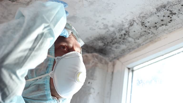 Best Forensic Mold Investigation  in Mante, CA